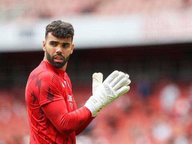 david-raya-22-arsenal-warms-during-premier-league.jpg